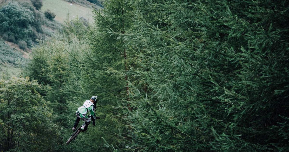 Beyond the Delivery Window: How Local Guides Elevate a Cannabis-Friendly City Trip